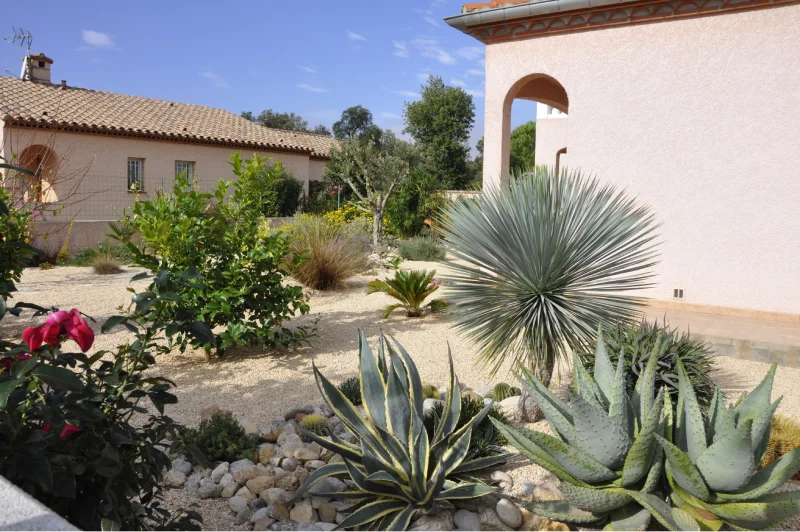 Jardin de cactus dans les Pyrénées Orientales