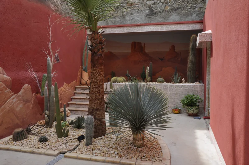 Aménagement paysagé en cactus