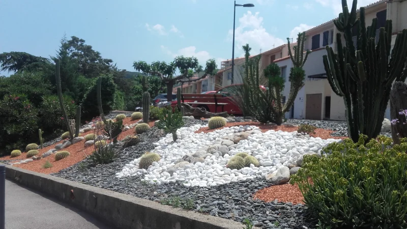 Aménagement de cactus mairie de Port-Vendres