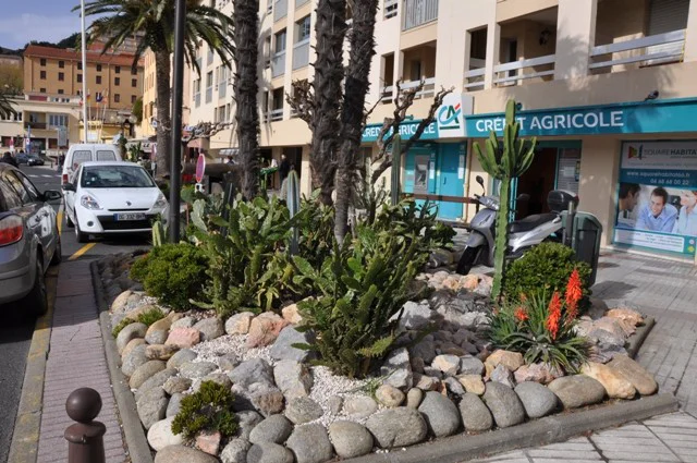 Rocaille de cactus à Port-Vendres