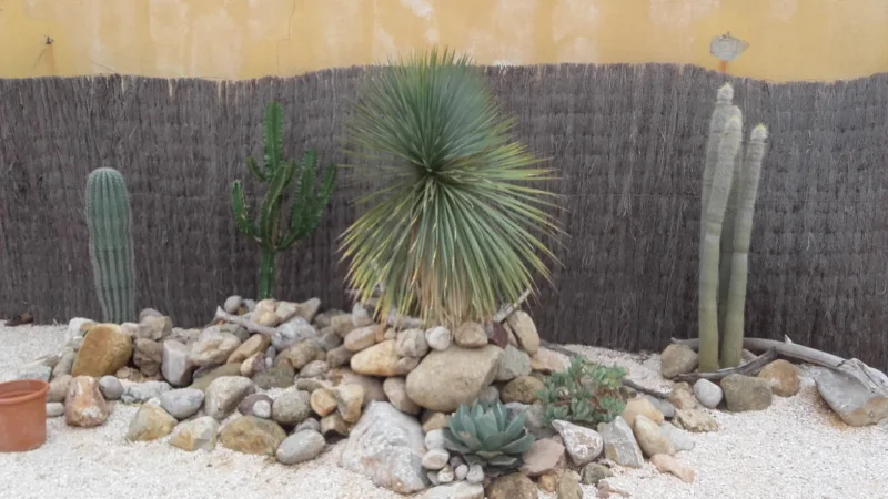 Cactus Hôtel Les Mimosas, Argelès sur Mer