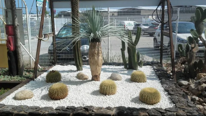 Rocaille entrée de notre jardinerie Le Temple du Cactus