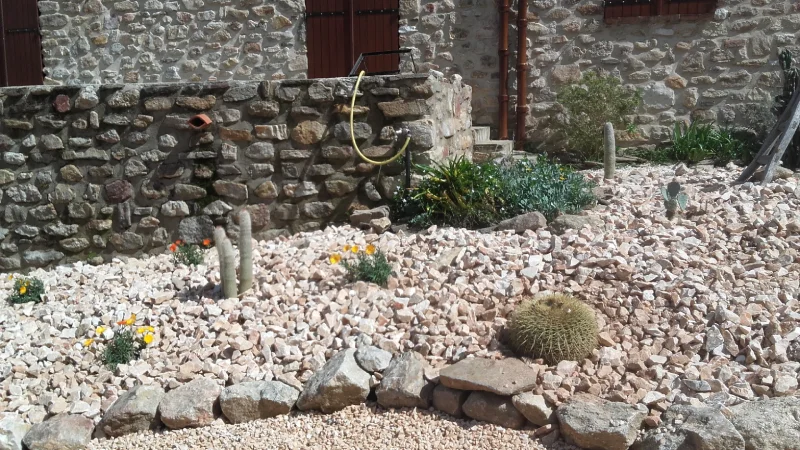 Mas Catalan en cactus