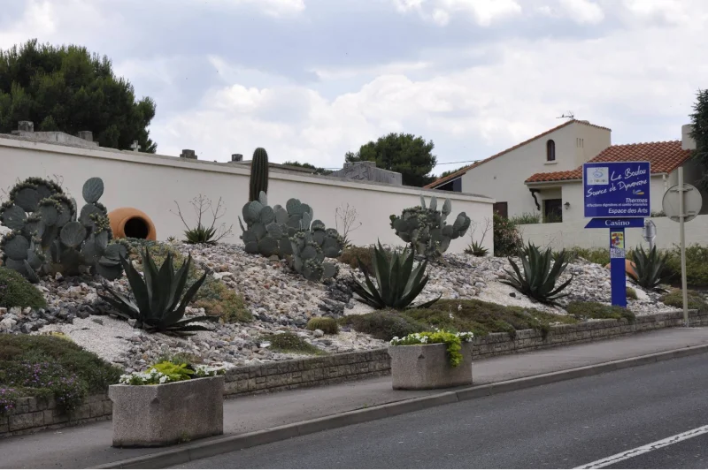 Rocaille de cactus, Le Boulou, Pyrénées-Orientales
